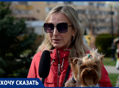 «Город должен утопать в зелени»: анапчанка обеспокоена проблемой озеленения Анапы