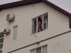 Полиция предотвратила попытку мужчины выпрыгнуть из окна анапского медцентра