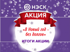 АО «НЭСК» дарит бонусы участникам акции «В Новый год – без долгов!»