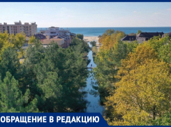 Анапчанин просит власти расчистить русло речки Можепсин – это часть водоотводной системы
