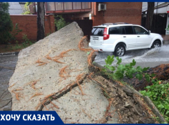 В Анапе на улице Самбурова повалена сосна, разворочен бетон, а во двор нельзя въехать