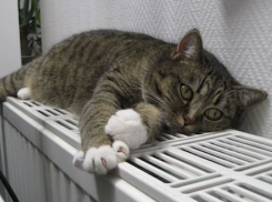 Анапчане жалуются на холод в квартирах и отсутствие горячей воды