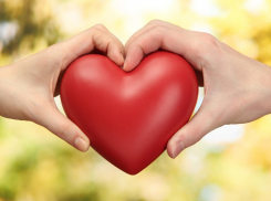  Как возникает любовь? Анапчане вступили в жаркий спор, разыскивая истину