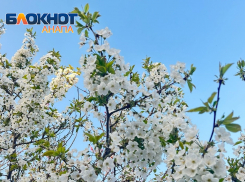 Девы пересмотрят свою жизненную позицию: гороскоп для анапчан на неделю