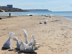 Обнаружены новые выбросы мазута на пляжах