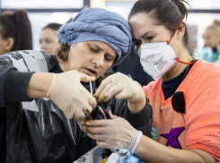 Благодаря волонтерам в Анапе удалось спасти 256 птиц