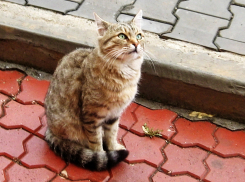 Погода в Анапе на воскресенье
