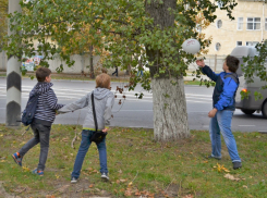 Игра со смертью: дети в Анапе играют на проезжей части, а прохожим - все равно...