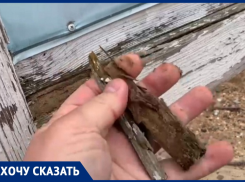 Александр Ежель бьёт тревогу: сгнивший рекламный щит на анапском пляже опасен для жизни