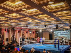 «Жемчужина Андриатики»: анапчанка вышла в четвертьфинал по боксу