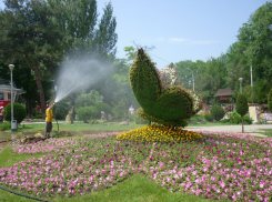 «Весь город должен быть в цветах»: мэр Анапы поручил сделать курорт более привлекательным