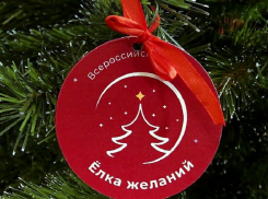 В Анапе, как и по всей стране, стартовала благотворительная акция «Елка желаний»