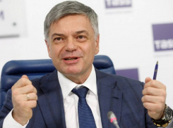 Миллиардер Сергей Шишкарев намерен заняться виноделием недалеко от Анапы