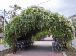 В Анапе благоустраивают аллею в честь 100-летия Роспотребнадзора