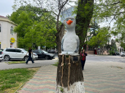 Во всемирный день видеоигр в Анапе возможен дождь