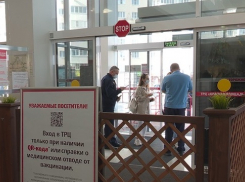 В Анапе нельзя, а в Ялте можно: в Крыму отменили QR-коды при посещении ТРЦ 