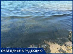 Черный «кисель» у берегов Центрального пляжа в Анапе – анапчанка в шоке