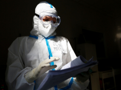 В Анапе выявили 1 случай коронавируса. Сводка на 14 ноября