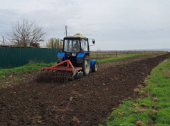 Чтобы не было пожаров: в Анапе и окрестностях обновляют минерализованные полосы