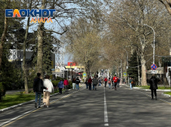 За солнцем и вином в Анапу – за снегом в Нижний Новгород: куда поехать в декабре