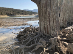 На Кипарисовом озере в Сукко под Анапой вновь разрешат кататься на лодках