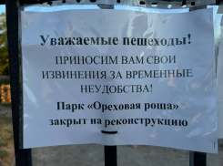 В преддверии бархатного сезона парк «Ореховая роща» закрыли на реконструкцию