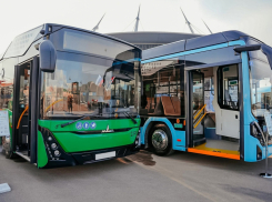 Анапа осталась в аутсайдерах: в трех городах Кубани обновляют парк общественного транспорта