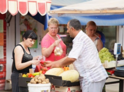 Власти Анапы объявили войну недобросовестным продавцам