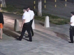 Полиция Анапы задержала неадеквата в парке – он оказался вором