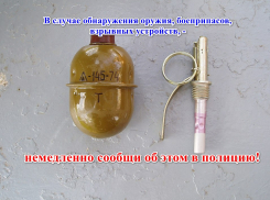 В Анапе мужчина принес боевую гранату на работу 