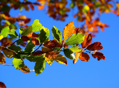 В понедельник в Анапу наконец-то вернётся солнышко