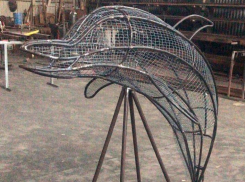 На пляже в Анапе могут предложить «покормить» дельфинов пластиком