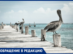 Тамара Миронова: «Анапе не нужна набережная — оставьте нам то, что подарила природа!»