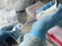 Число заразившихся коронавирусом в крае пошло на спад