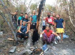 В Анапе 100 волонтёров, участвовавшие в тушении пожара на Утрише, получили грамоты