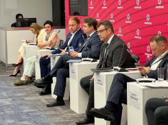 Отели «Новой Анапы» планируют обеспечивать в первую очередь местной продукцией