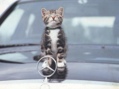 28 января в Анапе пасмурно и довольно прохладно