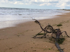 Какие шедевры преподнес шторм в Анапе 2-3 ноября. Фоторепортаж