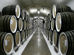 Любители вин смогут приобрести в Анапе завод