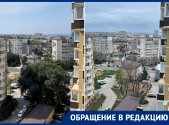 «Каждое дерево в городе нужно сохранять!»: анапчанка рассказала о варварской обрезке деревьев