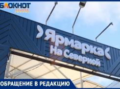 Москвичи выступили в поддержку предпринимателей Ярмарки «На Северной» в Анапе