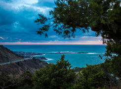 В Анапе создан экоцентр «Жемчужный» на базе природного заповедника «Утриш»