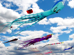 В День запуска воздушного змея в Анапе опять обещают дождь