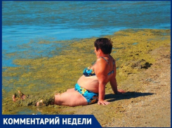 Полезна ли морская тина, которую любят некоторые отдыхающие в Анапе?