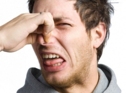 Вчера, 19 октября, в районе Анапки люди едва не падали в обморок от ужасного запаха