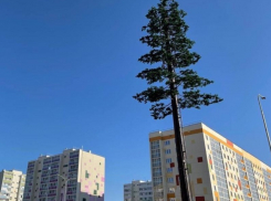 В Анапе для улучшения качества сотовой связи установили 27 новых опор 4G