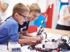 Роботехника или программирование — как правильно выбрать направление для обучения ребенка? 