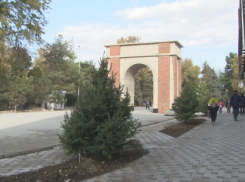 Где в Анапе появилась новая зелёная зона