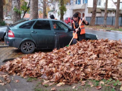 Дворники в Анапе собрали 5 тысяч кубометров листвы