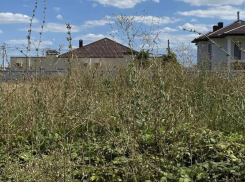 Земля без присмотра: в Анапе владельцы 400 участков получили предупреждения, более 250 уже оштрафованы